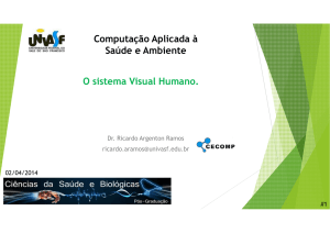 Computação Aplicada à Saúde e Ambiente O sistema Visual Humano.