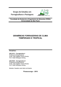 Gramíneas Forrageiras de Clima Tropical e Temperado - PRP-USP