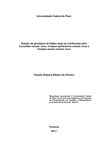 Reação de genótipos de feijão-caupi às coinfecções pelo