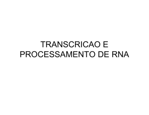 Transcricao e processamento de RNA