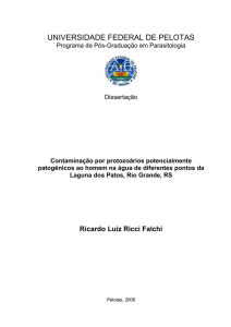 Contaminação por protozoários potencialmente patogênicos ao