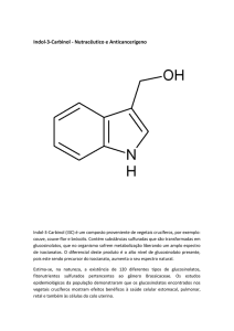 Indol-3-Carbinol - Dr.Alessandro Garcia