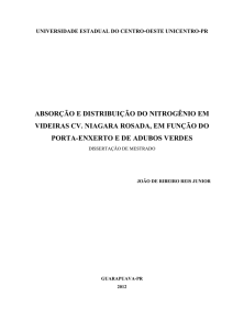 Dissertação em PDF