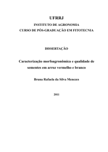 Caracterização morfoagronômica e qualidade de sementes