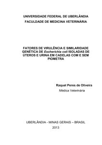 UNIVERSIDADE FEDERAL DE UBERLÂNDIA FACULDADE DE