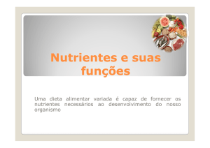 Nutrientes e suas funções