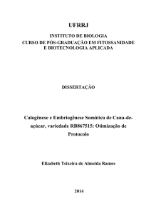 Calogênese e Embriogênese Somática de Cana-de