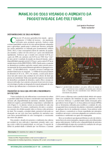 Manejo do Solo Visando o Aumento da Produtividade das Culturas