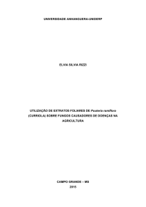 UNIVERSIDADE ANHANGUERA-UNIDERP ELVIA SILVIA RIZZI