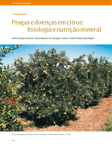 Pragas e doenças em citros: fisiologia e nutrição mineral - Esalq