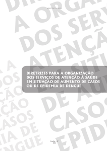 Diretrizes para a Organização dos Serviços de