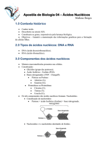 Apostila de Biologia – Ácidos Nucléicos