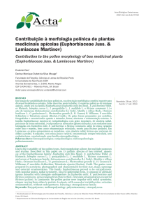 Contribuição à morfologia polínica de plantas medicinais apícolas