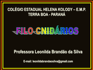 3Cnidarios - Professora Leonilda