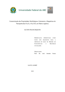 Dissertacao Elton Francisquini (Nanociencias).