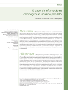 O papel da inflamação na carcinogênese induzida pelo HPV