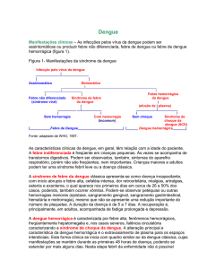 Dengue - Secretaria de Estado da Saúde de São Paulo