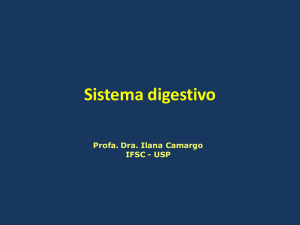 Sistema digestivo - Laboratório de Biologia - IFSC
