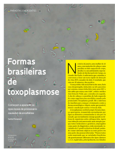 Formas brasileiras de toxoplasmose