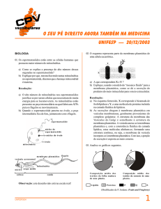 o Seu pé direito agora também na medicina