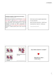 Desenvolvimento Cardíaco