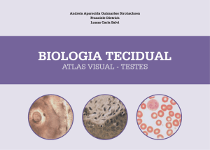 biologia tecidual