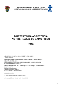 diretrizes da assistência ao pré - natal de baixo risco 2006