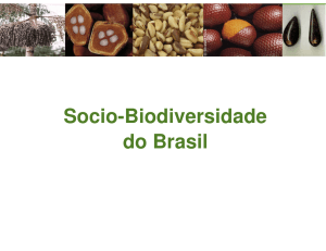 Socio-Biodiversidade do Brasil