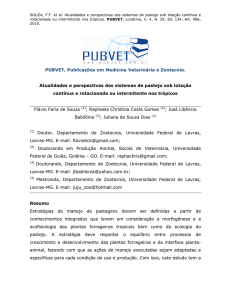 Atualidades e perspectivas dos sistemas de pastejo sob