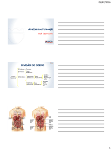 Anatomia e Fisiologia