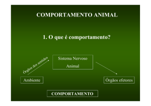 COMPORTAMENTO ANIMAL 1. O que é comportamento?