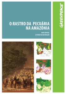 o rastro da pecuária na amazônia