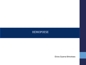 hemopoese - Stoa Social