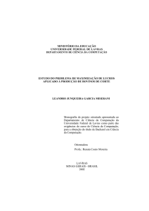 Estudo do problema de maximização de lucros aplicados à