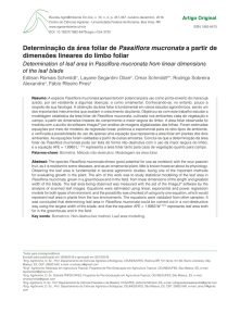 Determinação da área foliar de Passiflora mucronata a partir de