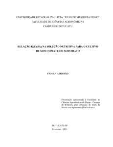 Relação K: Ca: mg na solução nutritiva para o cultivo de mini tomate