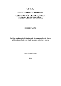 Cultivo orgânico do feijoeiro pelo sistema de plantio direto