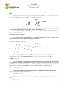 Noções sobre Vetores