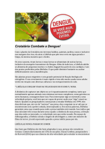 Crotalária Combate a Dengue!