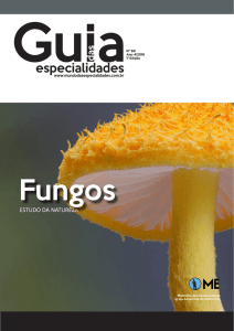 Fungos - Mundo das Especialidades