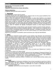 Aula 30 - Prática - Diagnóstico laboratorial das micoses