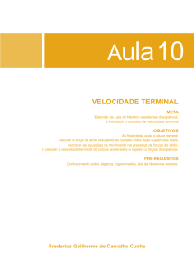 velocidade terminal