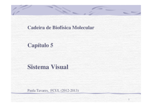 AULA 13 Sistema Visual Biofísica Molecular 2012 - Moodle