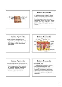 Técnicas Avanácadas (Teoria)