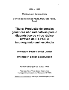 Título: Produção de sondas genéticas não radioativas para o