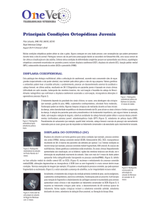 Principais Condições Ortopédicas Juvenis