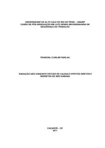 Monografria_Fran_revisão final nelson