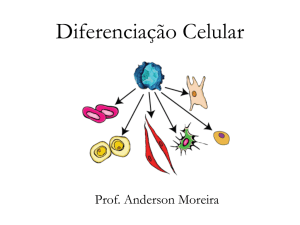 DIFERENCIAÇÃO, CÂNCER E CÉLULAS-TRONCO