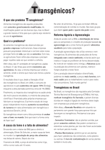 Panfleto Transgênicos 2013