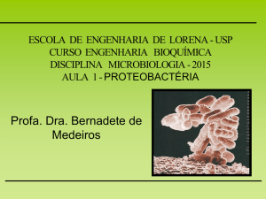 Aula 1 PROTEOBACTERIAS REDUZIDA - Sistemas EEL